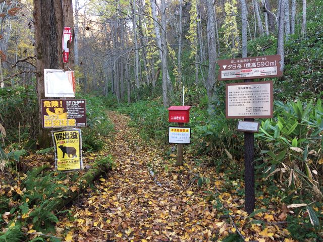 ��R�k�_�Иe�ɂ���o�R���B_��R�k