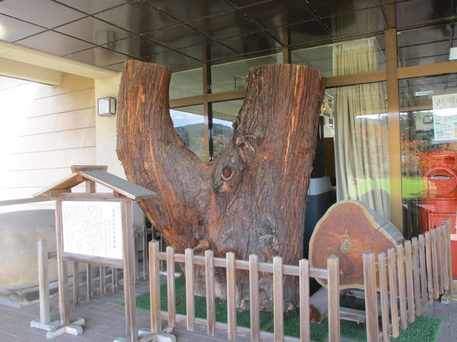 ̂䂫̖yۑ`K{݁iyفj̓eʐ^2