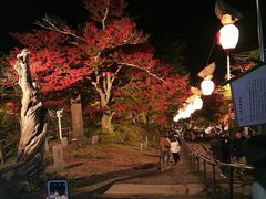 叫݂̒R̍gtւ̓eʐ^1