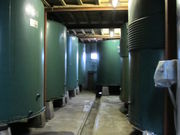 Z΂̎𑠌wi̐𑢁EϏj̓eʐ^4