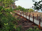 񂳂̏郖苴iej̓eʐ^2