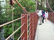 񂳂̏郖苴iej̓eʐ^3