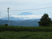 ^bN̂ӂ̂ɒ̓s~[WA̓eʐ^8