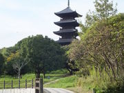 ڂ炳̋gHTCNOR[X̓eʐ^1