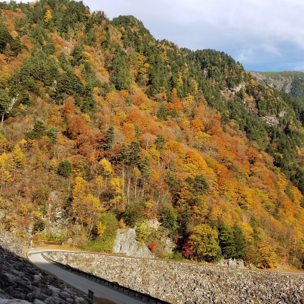 ★ぬ 目で見る安曇の100年 / 大町市 北安曇郡 南安曇郡 / 郷土出版社 250px-Nagano_MinamiAzumi-gun.png
