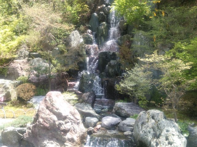 �����̑�_��Β뉀