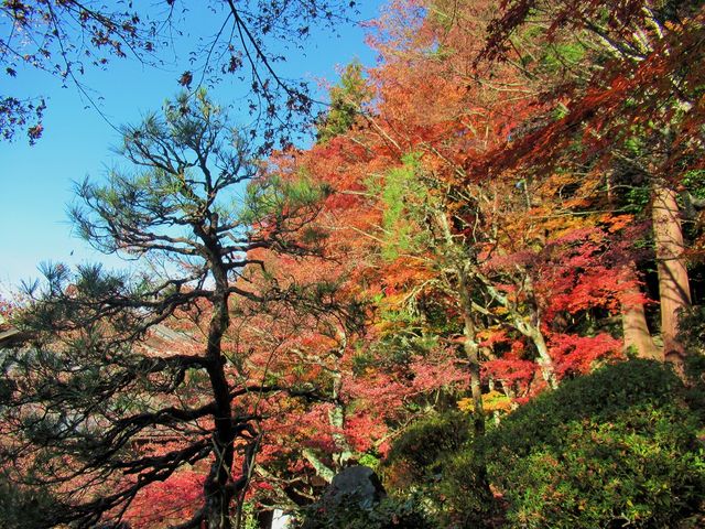 𗁂тĂN₩ɉf̍gt_Sώ