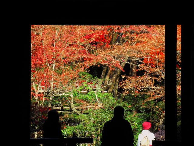 �������̕����̉���������ꔽ�Α����猩�n����̌i�F�͊z�����ʂōX�ɉf����_�����֎�