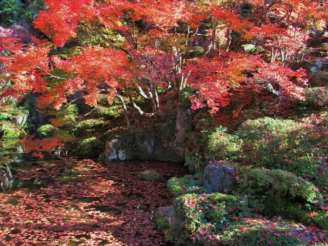 �r�������t�Ŗ��܂�_�����֎�