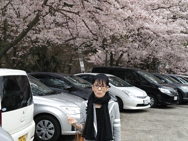 �����J�I_�ݐ쉷��