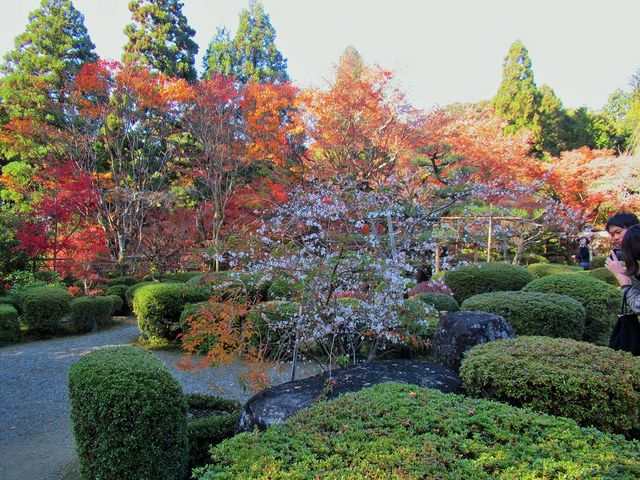 �g�t�ƕs�f���������ɒ��a_�Γ��O�R ������