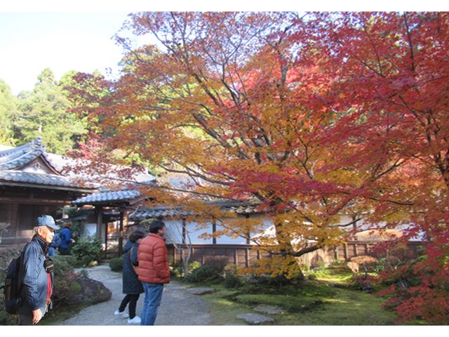 �݂��Ƃȍg�t�̋���������t��_�Γ��O�R ������