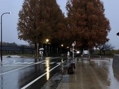 񂳂̃^ZRCA؂ւ̓eʐ^1