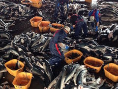 �}���o�[����̋C����s���s��ւ̓��e�ʐ^3