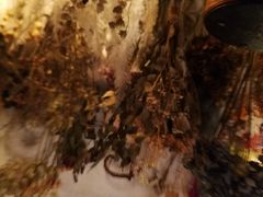 É̌([NVbv)LITA̎ʐ^2