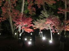 �s�n�r�r������̌��̐΂��݂������ւ̓��e�ʐ^1