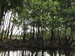 ܂Ȃ̖` ꑍAEghAcA[Xւ̓eʐ^1