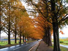 ˂񂳂̃^ZRCA؂ւ̓eʐ^1