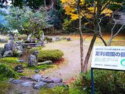 ˂񂳂̋iG׎뉀j̓eʐ^5