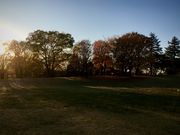 낲ς񂾂̑򒆉̓eʐ^1