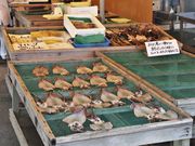 Ƃ񂳂̃CJ̈銱̌Anԑ̌̓eʐ^4