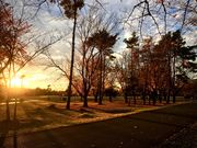 낲ς񂾂̘aь̓eʐ^1