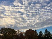 낲ς񂾂̑򒆉̓eʐ^1