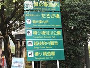 Ƃ񂳂̉zٓὠeʐ^4