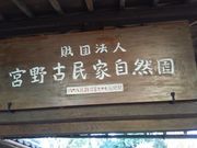 kurochin̋{ÖƎR̓eʐ^1