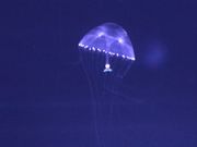 Ƃ񂳂̒߉sΐف@X̓eʐ^9