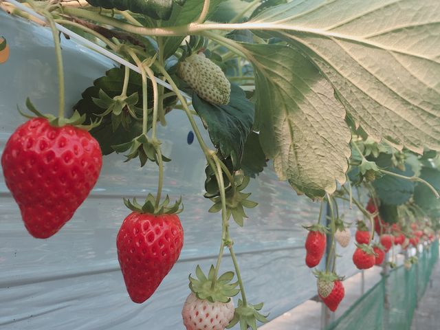 �͕P_�O�����������ّO�c