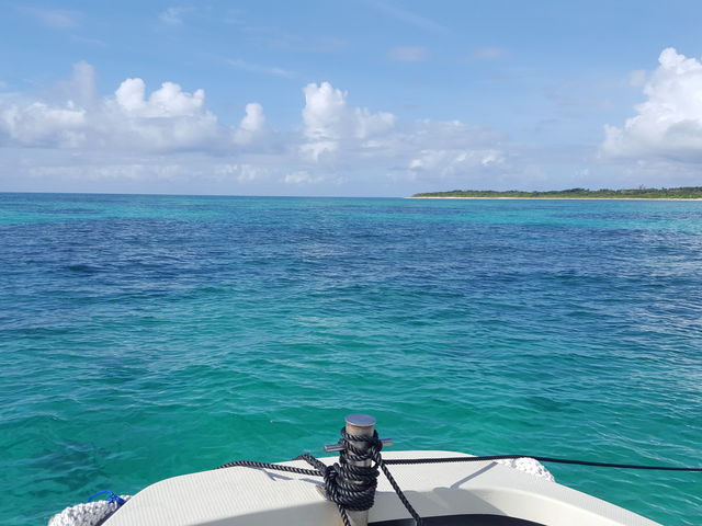 �|�x����_�_�C�o�[�Y�l�b�g�Ί_��