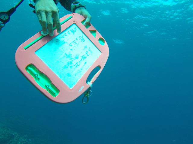 ̍ŐVipadňēĂ܂__Co[YlbgΊ_