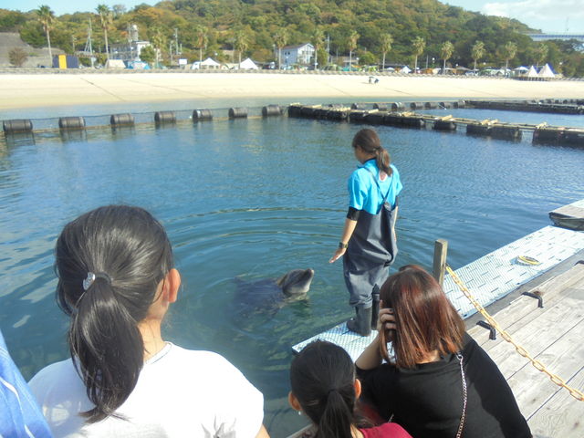 �C���J_�h���t�B���t�@�[�����܂Ȃ�