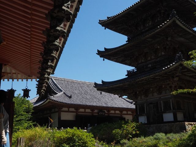 �X���ƎB�e_�ٍ㎛�O�d��