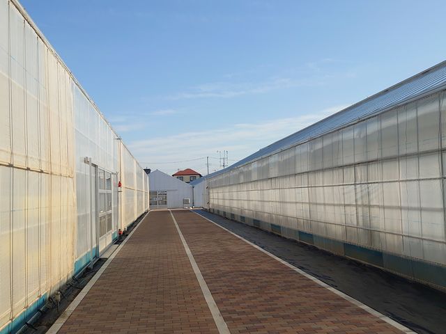 rj[nEX܂ł̓łB_@FARM(Abgt@[)~襂܂x襃g}gY~