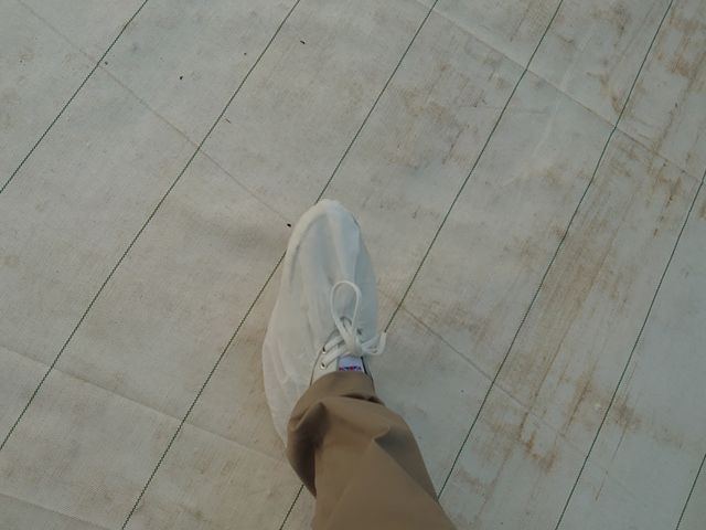 CJo[𗚂܂B_@FARM(Abgt@[)~襂܂x襃g}gY~