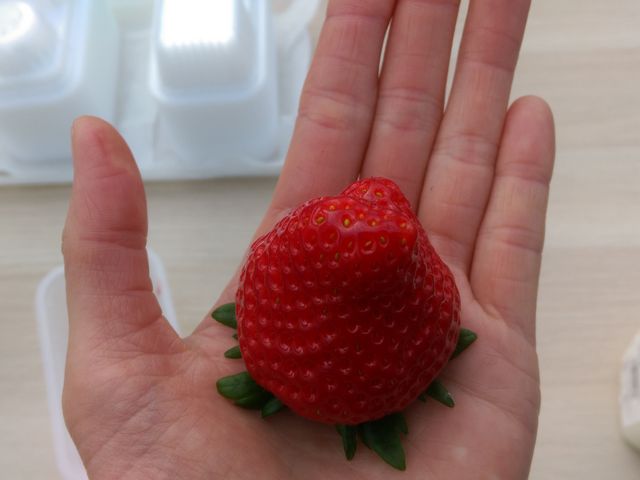 �傫��������Â炢���ȁc_���E�t���[�Y