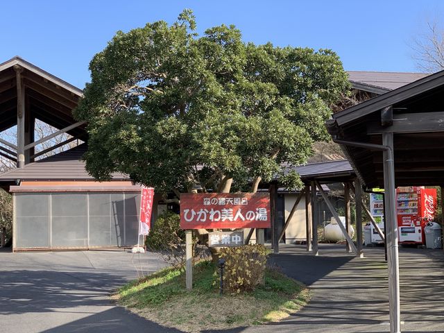 ���{�O���l�̓��@���̐쉷��