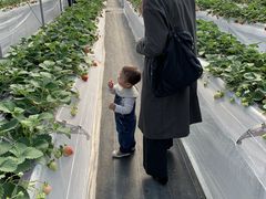 ꂢ̕ct@[@x[ւ̓eʐ^1