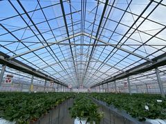 ߂邳̃x[YVbvւ̓eʐ^1