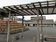 񂳂̔_Xg@ւ̗̓eʐ^2