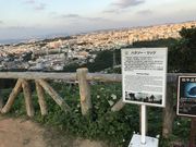 炳炳񂲂̉YYՓW]̓eʐ^1