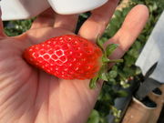 ]ԂNO.32t@̍]ԂZ^[̓eʐ^1