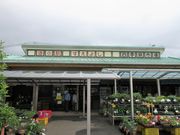 񂳂̓̉w 悵̓eʐ^4