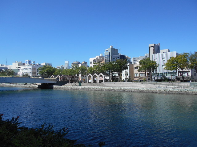 �V���쐅�ی���_�V����E���g�������ی���