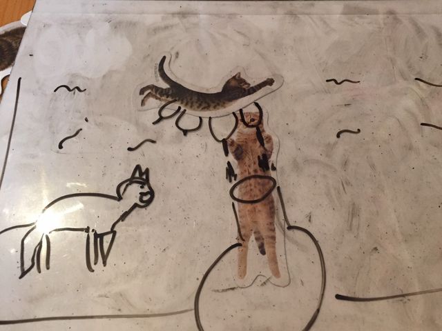 �L�̎ʐ^���g�������G�`���Q�[��
�e�[�}�u�����ڂ�v_�h�C�c�Q�[���i��B-CAFE