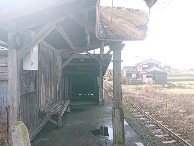 �Ŋ��w�̢���i�w��̃z�[��_�_���g���@�l�@���Ă�܉c�_�g��