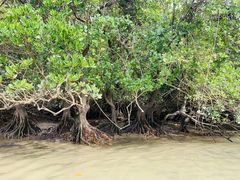 ӂ݂̃u[tB[hւ̓eʐ^1