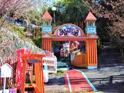 ����邳��̂܂ڂ낵������̓��e�ʐ^1